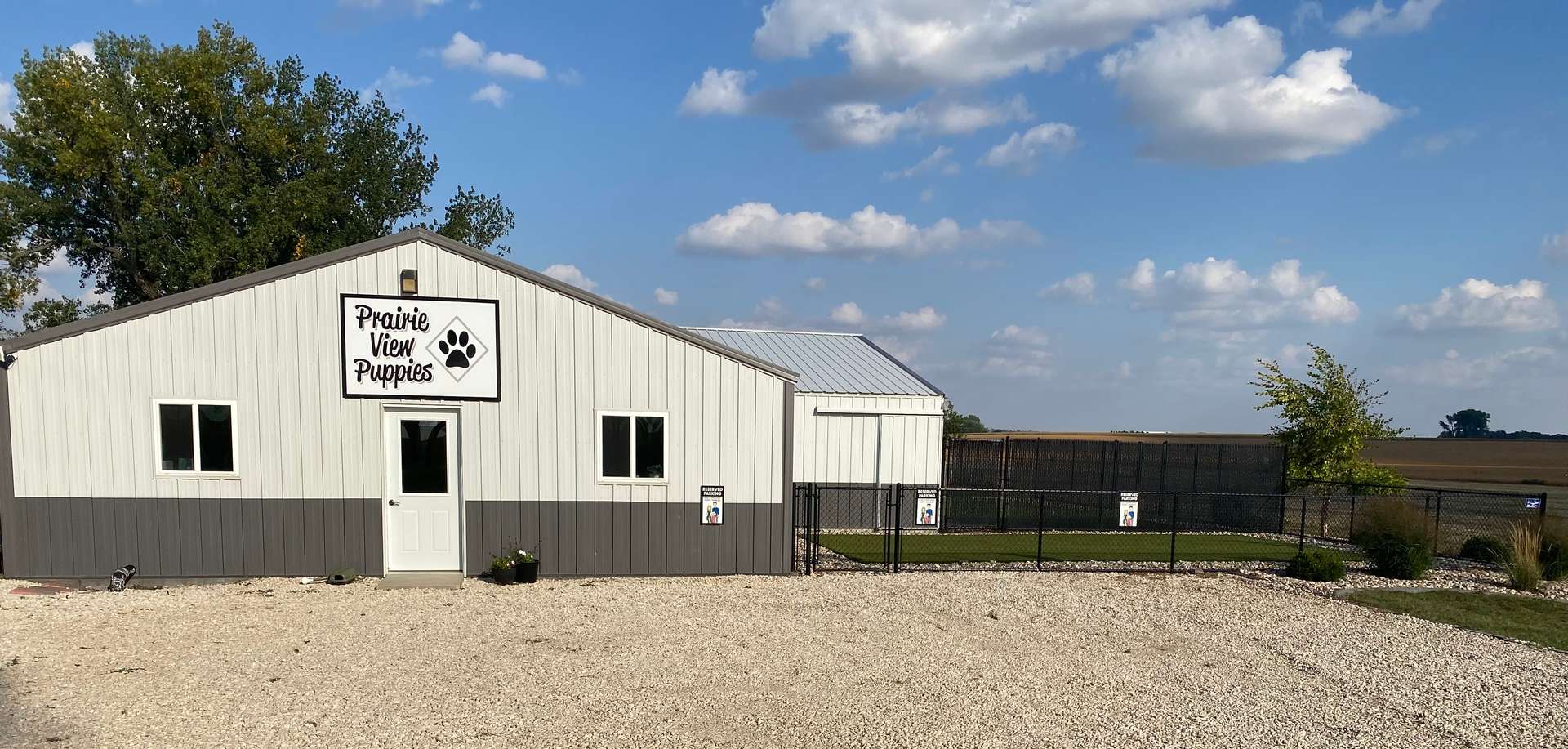 Pickup. Meet Ups, & Flight Nannies